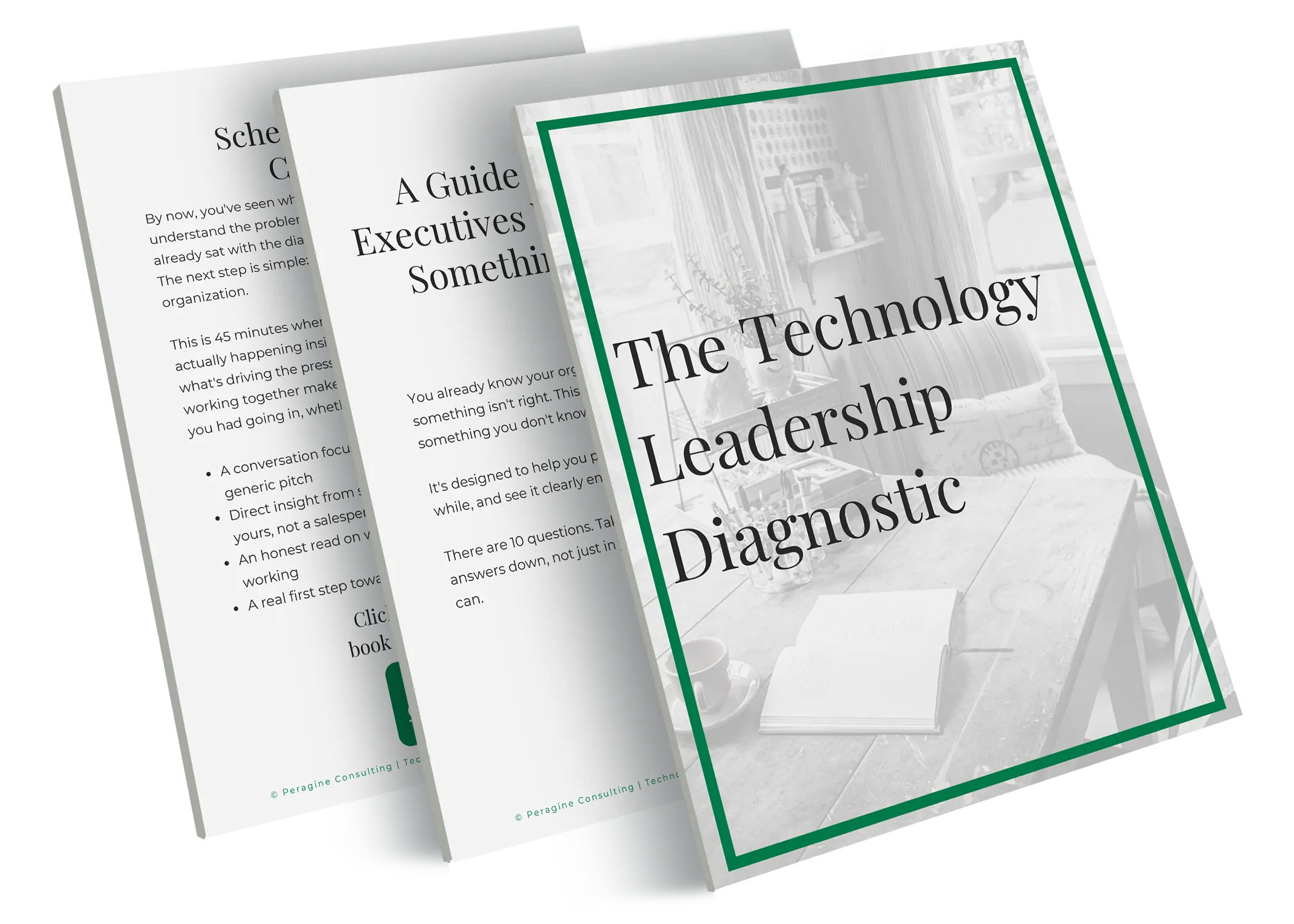 Preview of The Technology Leadership Diagnostic